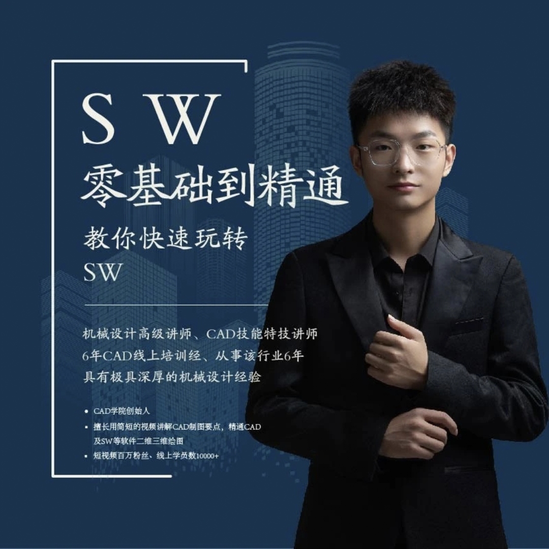 SW132节教程加365天答疑