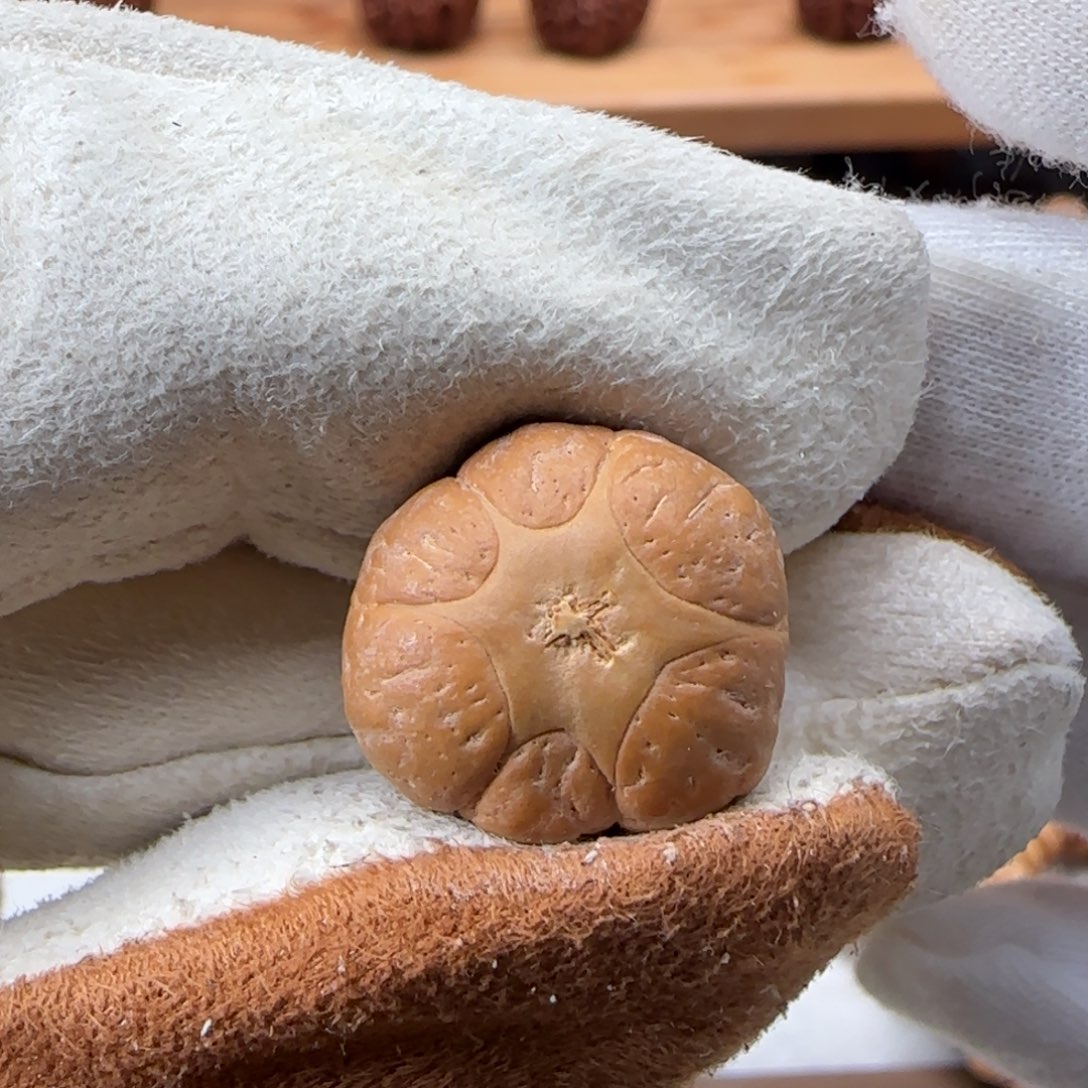 凤眼菩提吊坠凤眼菩提