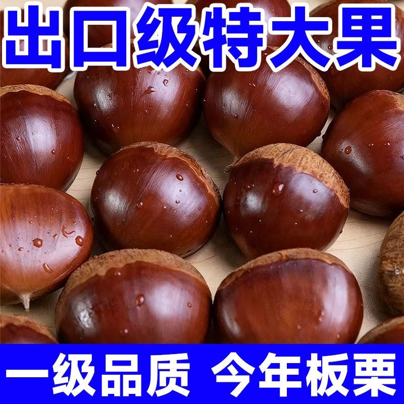 【买两斤发五斤】新鲜带壳高山板栗甜糯好剥美味零食生栗子