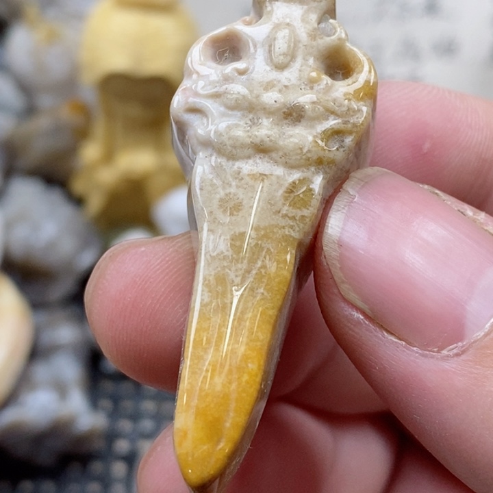 颈饰未镶嵌硅化珊瑚（珊瑚玉）