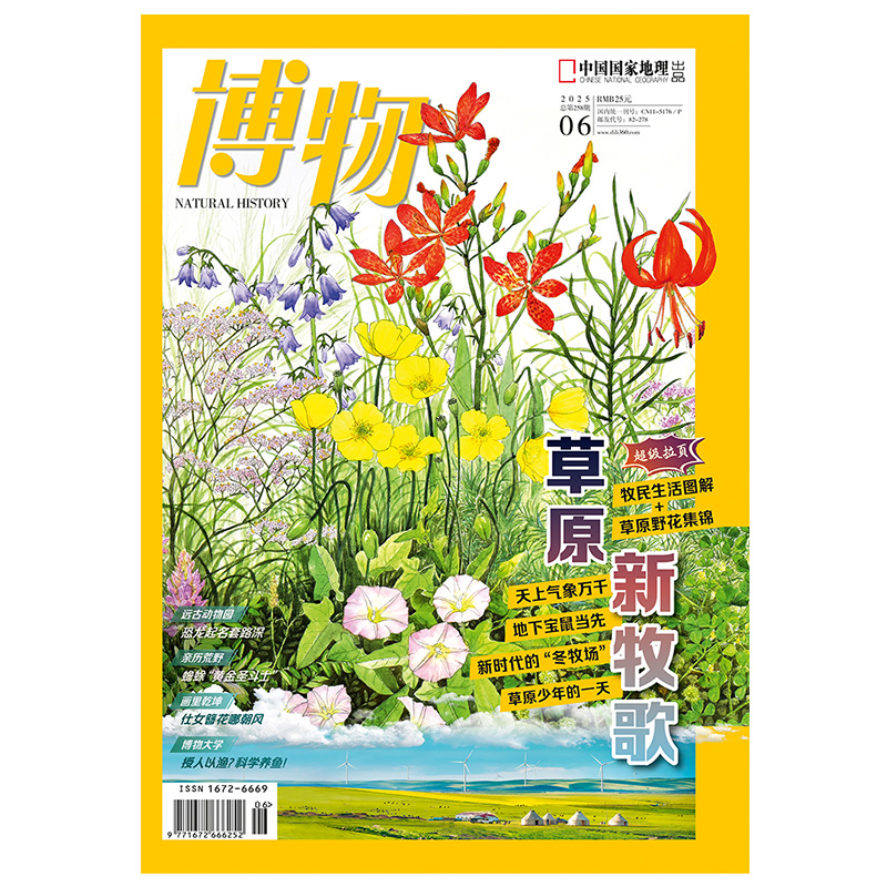 中国国家地理 博物杂志25年6月期刊草原专辑含草原鉴拉页图