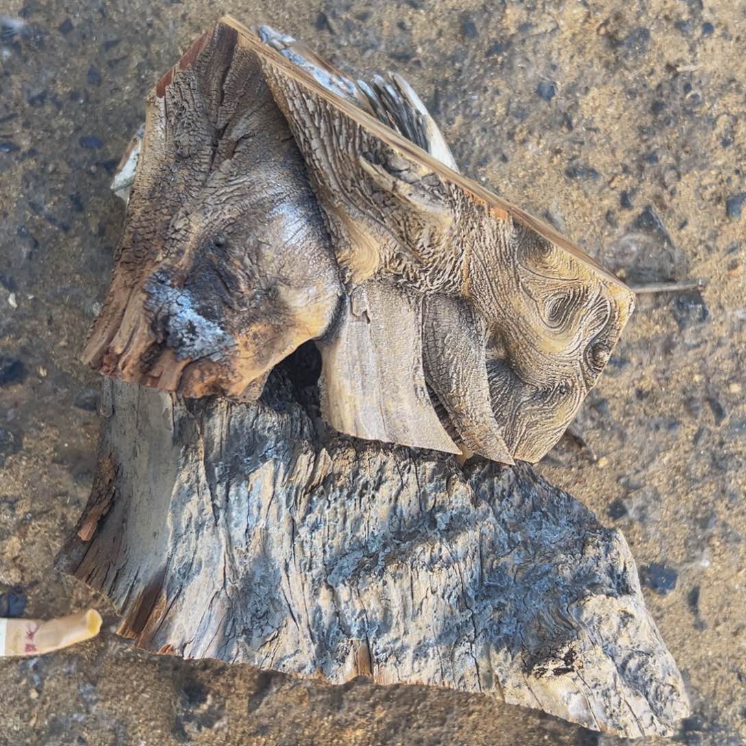 柏木太行崖柏陈化茬头