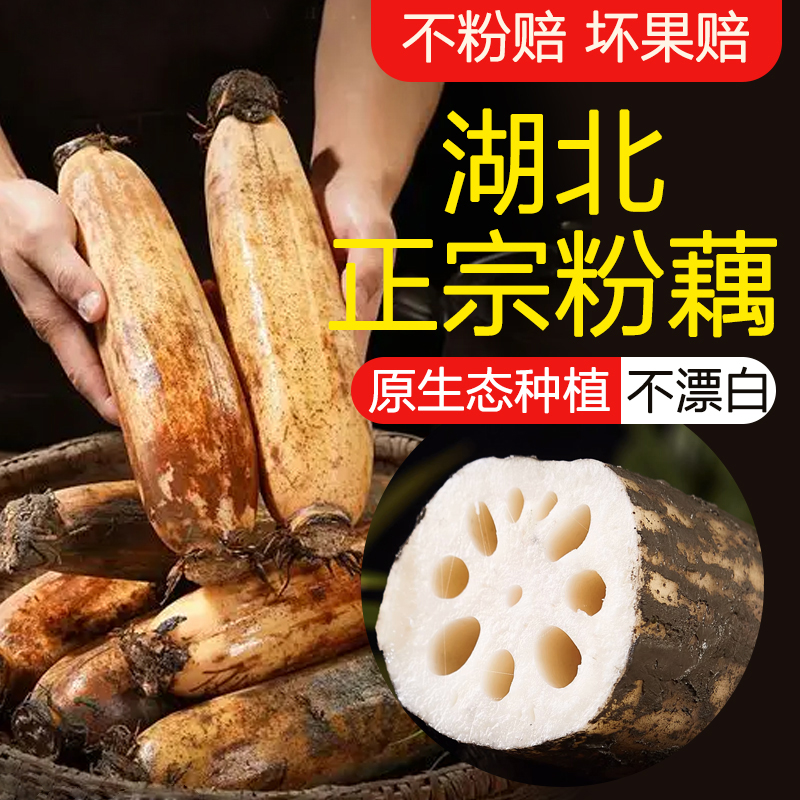 湖北洪湖莲藕特产新鲜粉藕煲汤粉糯炖汤藕糯米藕九孔藕野藕包邮