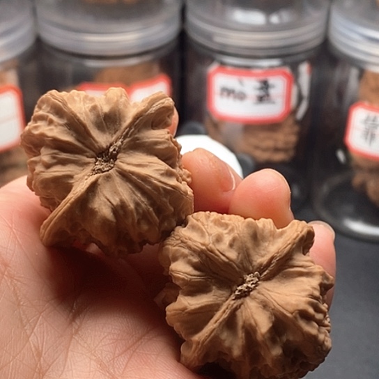 文玩核桃把件火焰马蹄