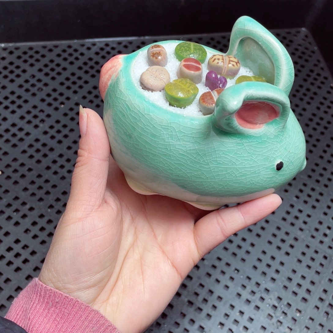 w8600 -零下地区拍保温箱  -15支持寄养