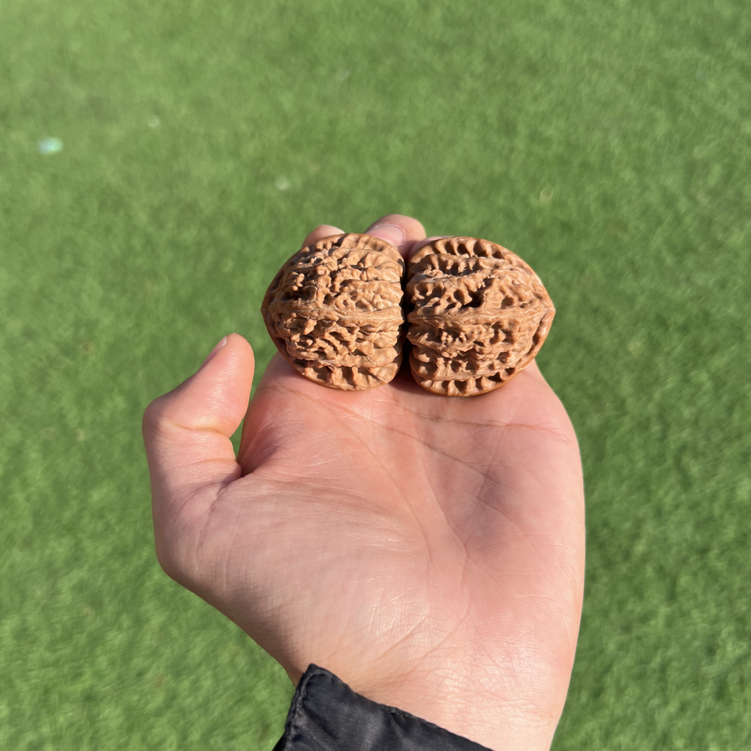 “重器”等腰三角白44尺 主筋对称