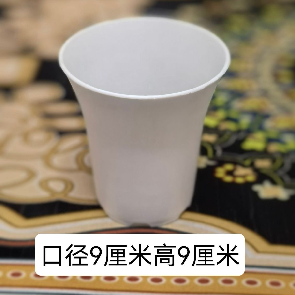 万象盆多肉植物12卷玉露（满9.9包邮）