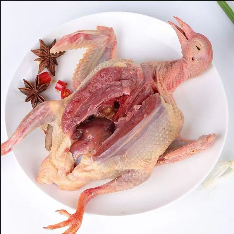 [新疆莎莉]现宰散养土鸽子