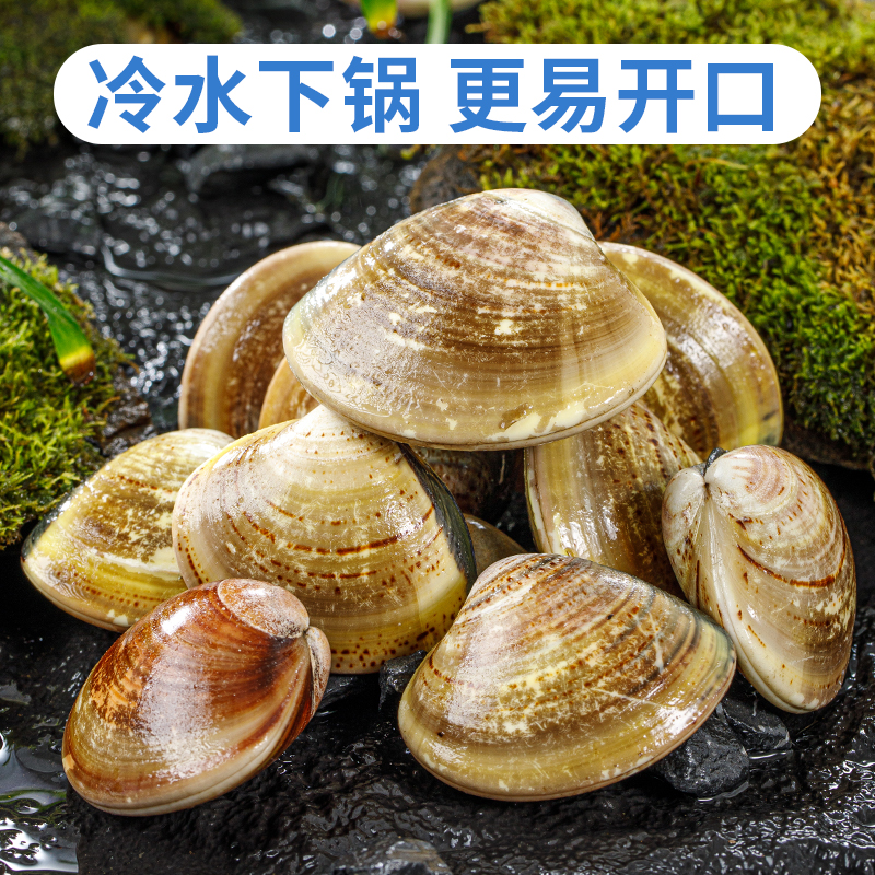 鲜跃净化大青蛾340g-350g/份（13粒内）