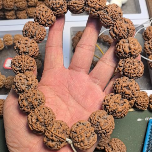 把件金刚菩提五星梅花大金刚手持，25左右尺寸，原皮原色