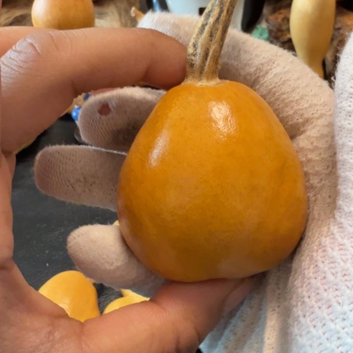 老***墨66……………………………………