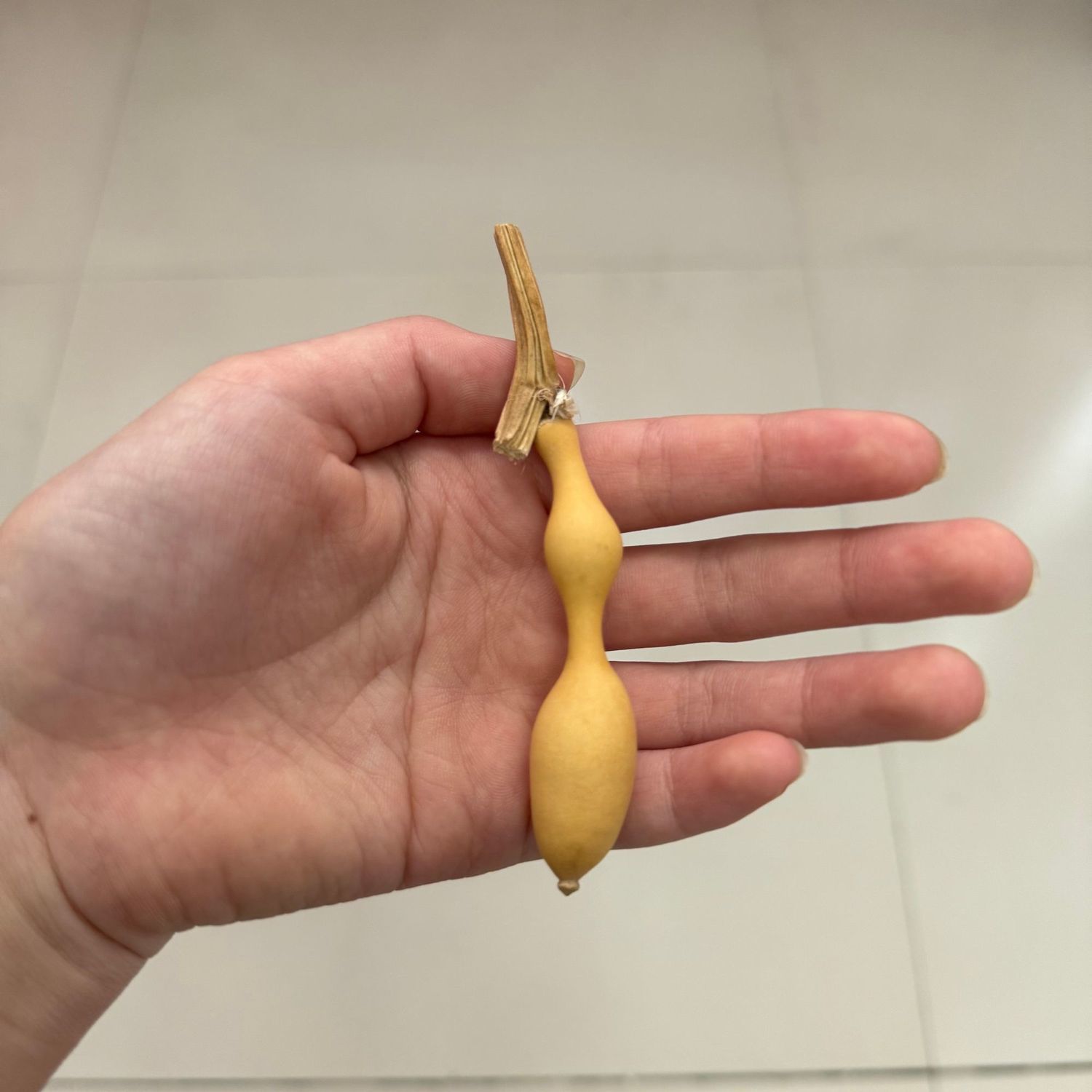 天然蚂蚁肚小葫芦文玩手捻皮质细腻异形手把件直杆子把玩精品