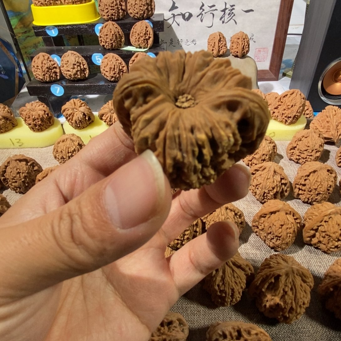 木质类画皮的大奥迪和小