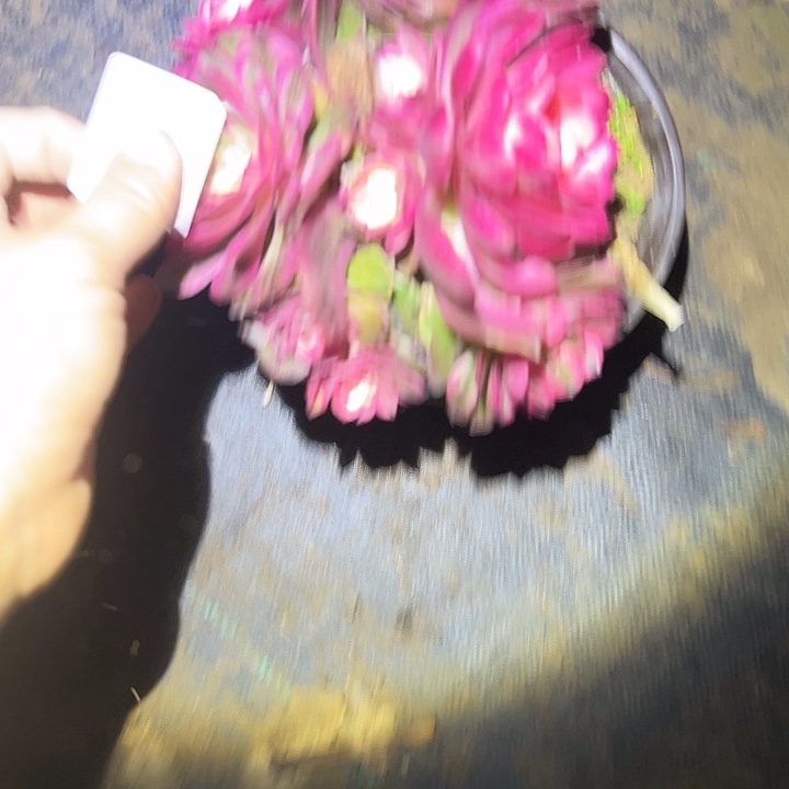 法师链接一物一拍10