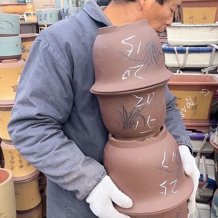 紫砂紫砂花盆和花盆里