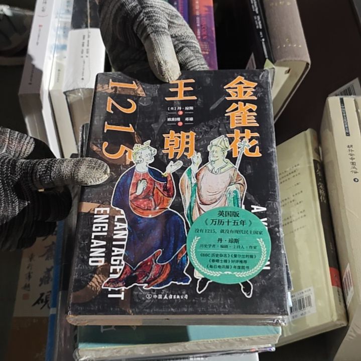 金雀花王朝精装塑封库存书