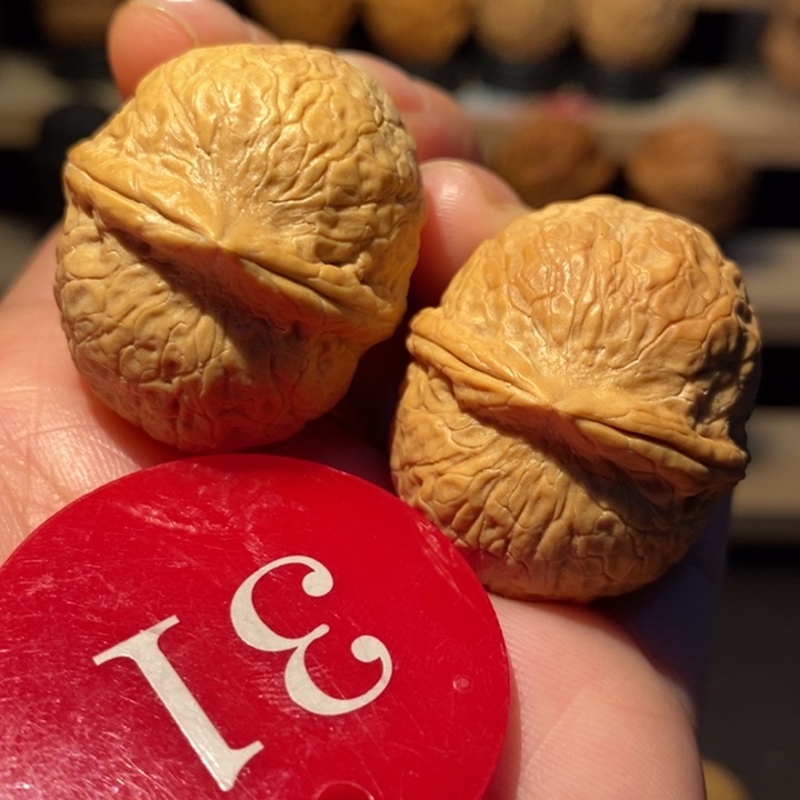 木质类水晶蛇皮球33尺寸，粉丝福利