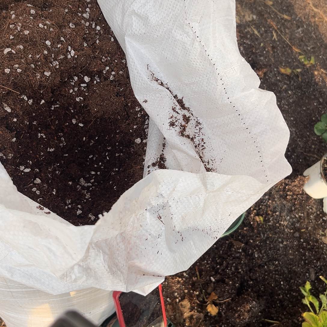 25L草莓土123456789