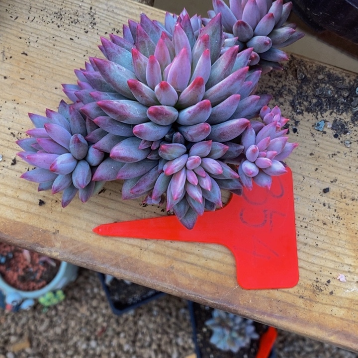 你在干什么的时候都会