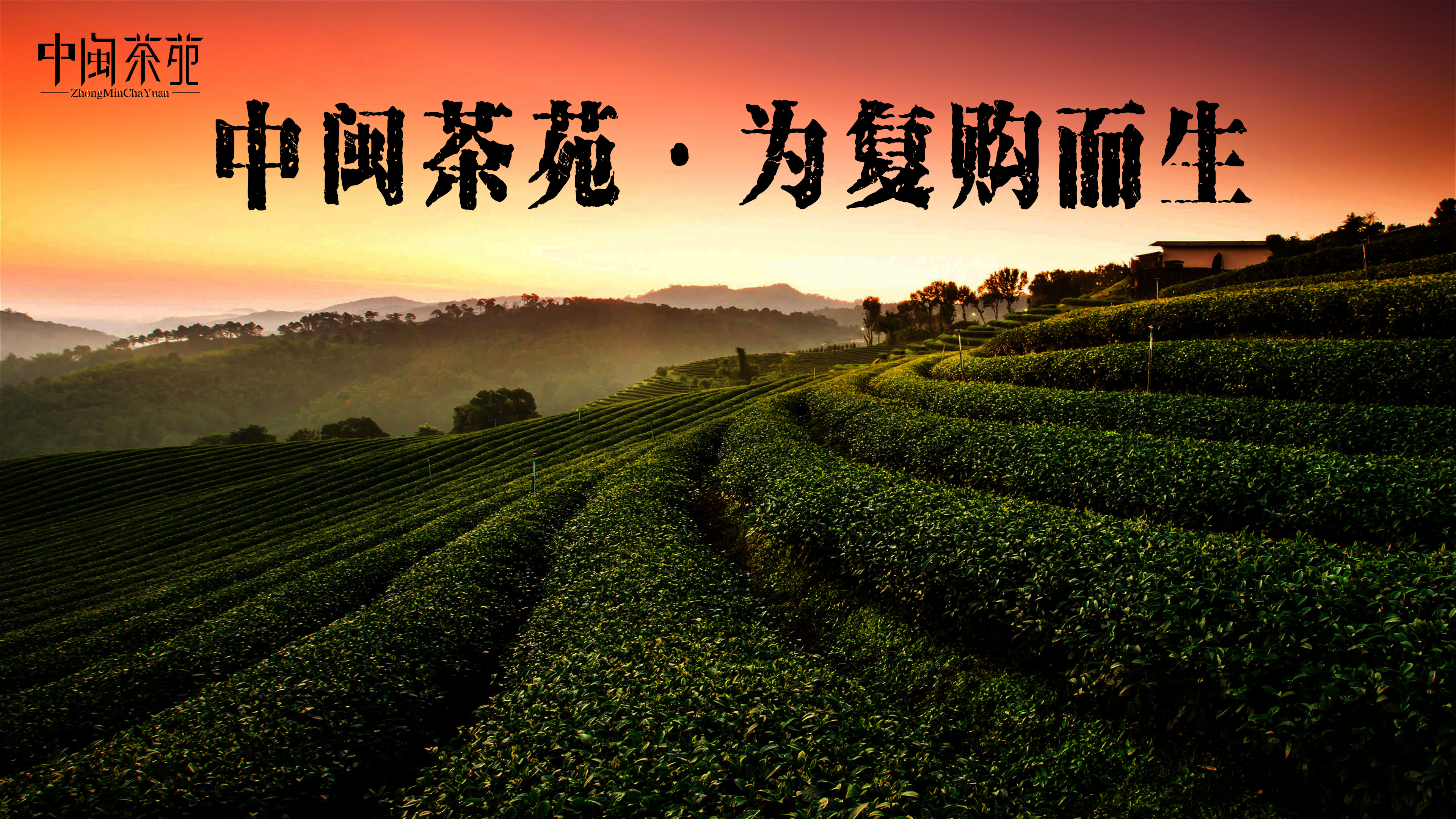 禾器甜甜学姐品牌茶具专用改价链接正品保证假一赔十不支持试喝