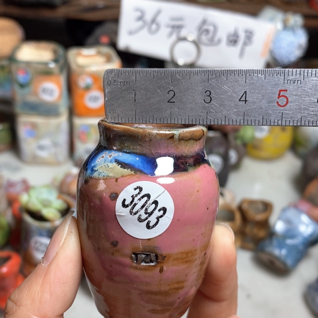 花盆拍5送一个小礼物