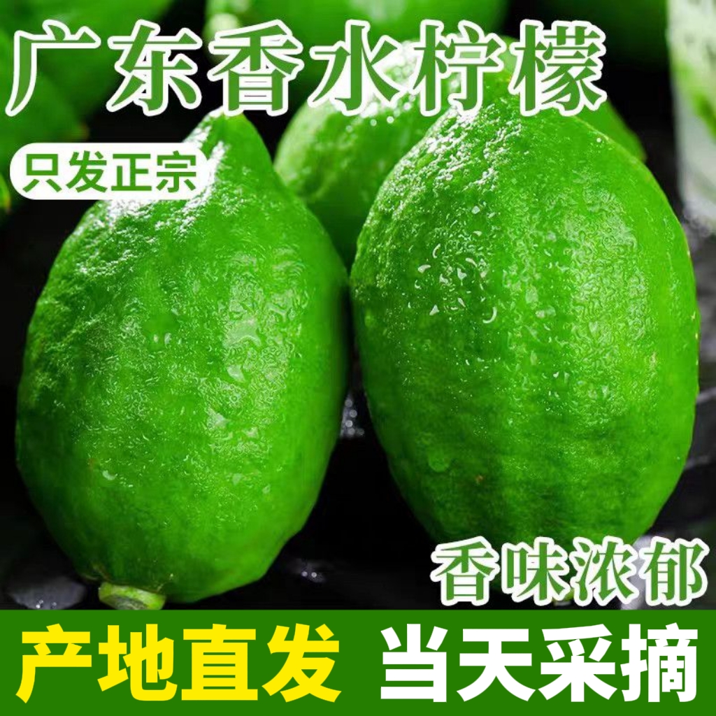 【拍1发3斤】广东无籽香水柠檬新鲜现摘奶茶店手打柠檬茶专用水果