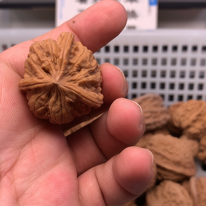 2***成文玩核桃吊坠核桃