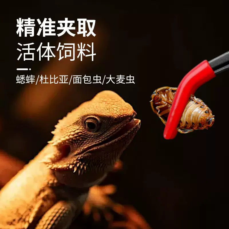 爬宠喂食镊子角蛙守宫蜥蜴昆虫蟋蟀面包虫喂食夹不锈钢粪便清洁夹