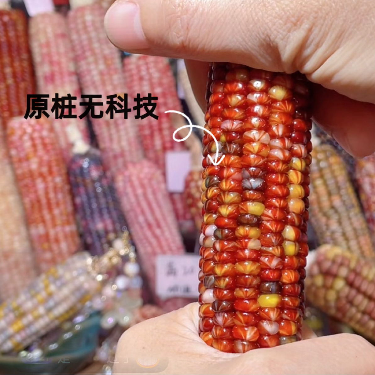 天然七彩宝石血丝文玩玉米毛料红色玛瑙粒DIY材料手把件