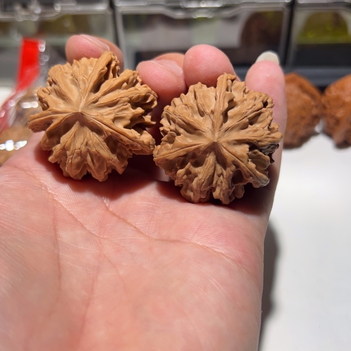 人棱天地是一种智慧