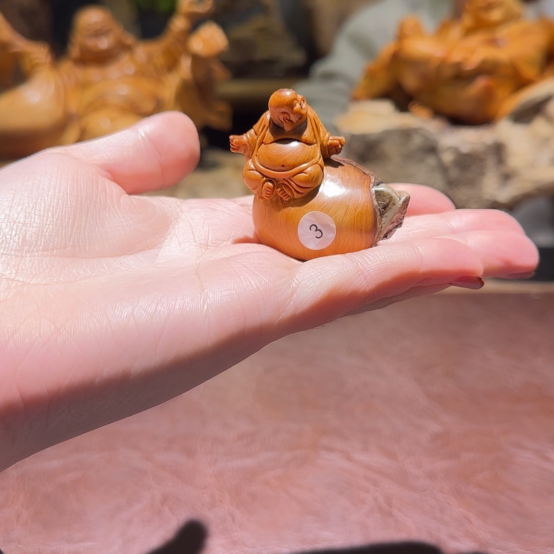 用***8柏木（崖柏）太行集团