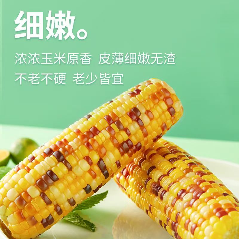 2025新货大棒花糯玉米 轻食代餐黏糯玉米整箱10支6斤