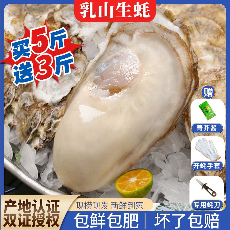 【7XL 过瘾蚝】正宗乳山生蚝牡蛎新鲜原产地海鲜水产精品级团购5斤