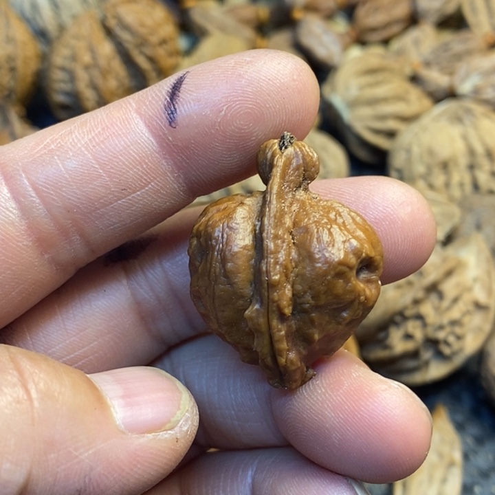 江***缘文玩核桃吊坠娜姐198