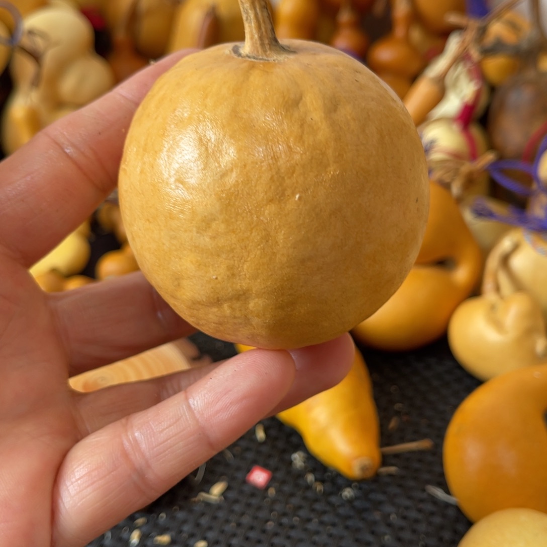 P***…葫芦葫哈哈哈哈哈哈哈哈