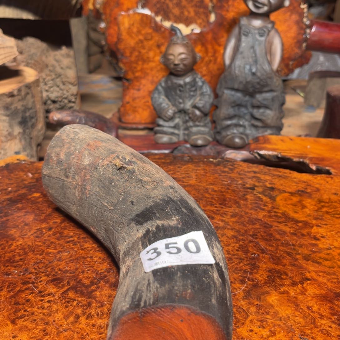 大果紫檀（缅甸花梨）