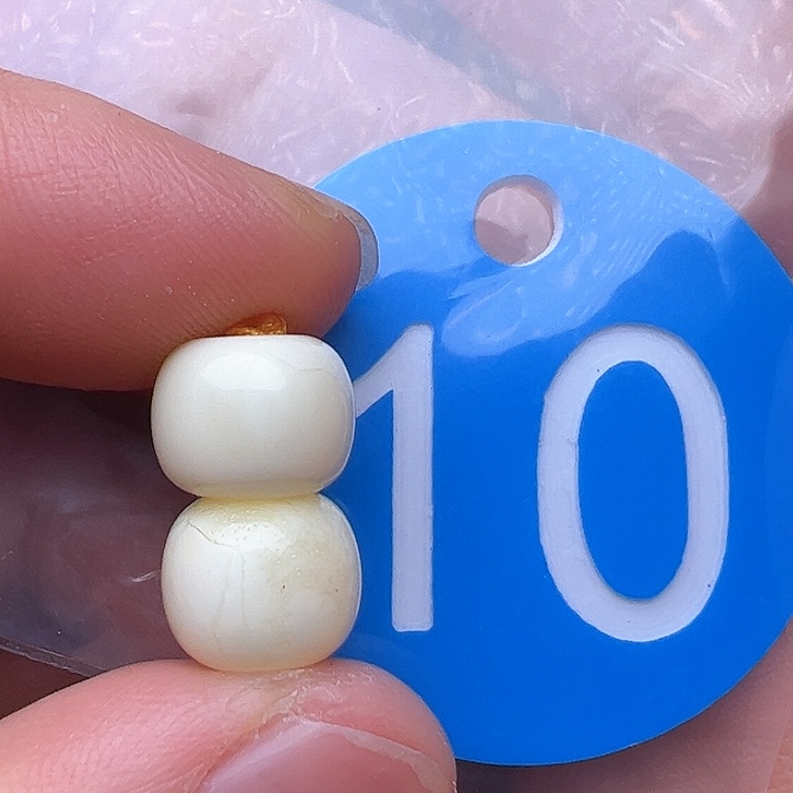 蜜蜡裸石未镶嵌9.5m m