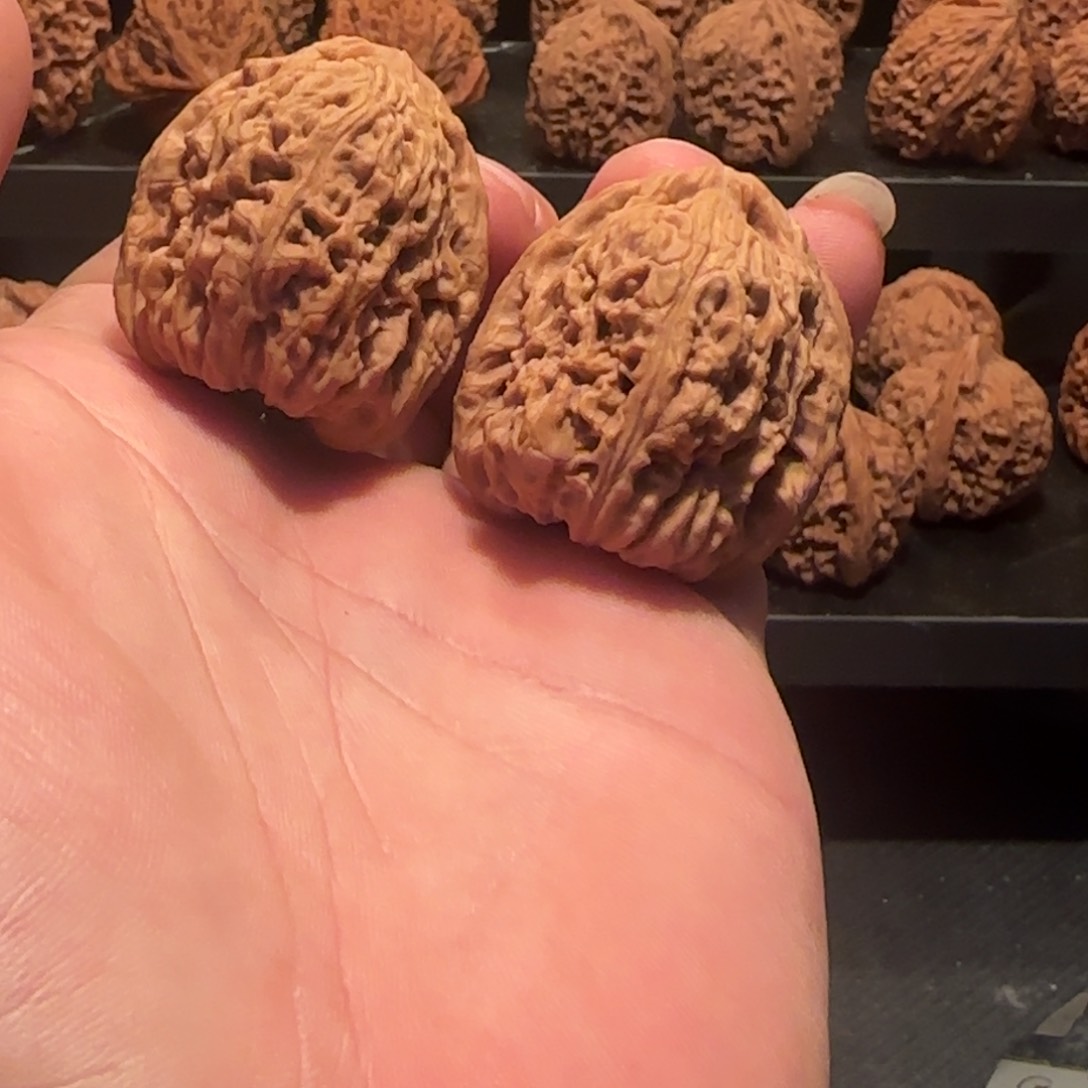 桃核把件涿鹿南疆石35
