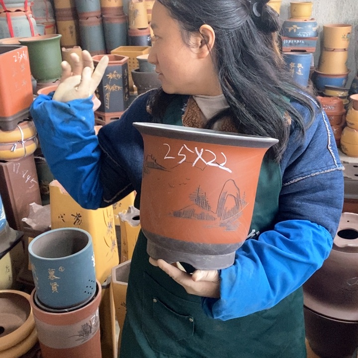 紫砂花盆盆栽花卉苗木种植