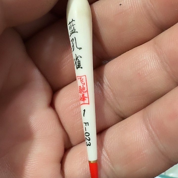 蓝孔雀一单一个浮漂