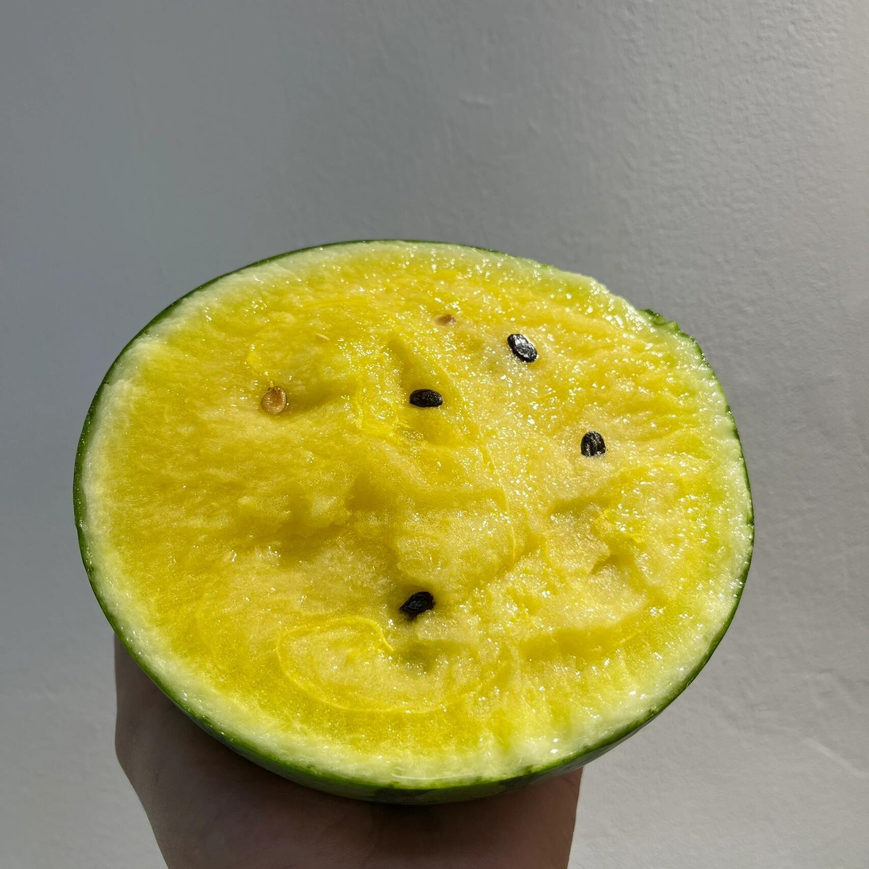 上海当日达小时达     新鲜水果江苏东台冰淇淋黄肉心小兰西瓜1箱4只15斤左右江苏省