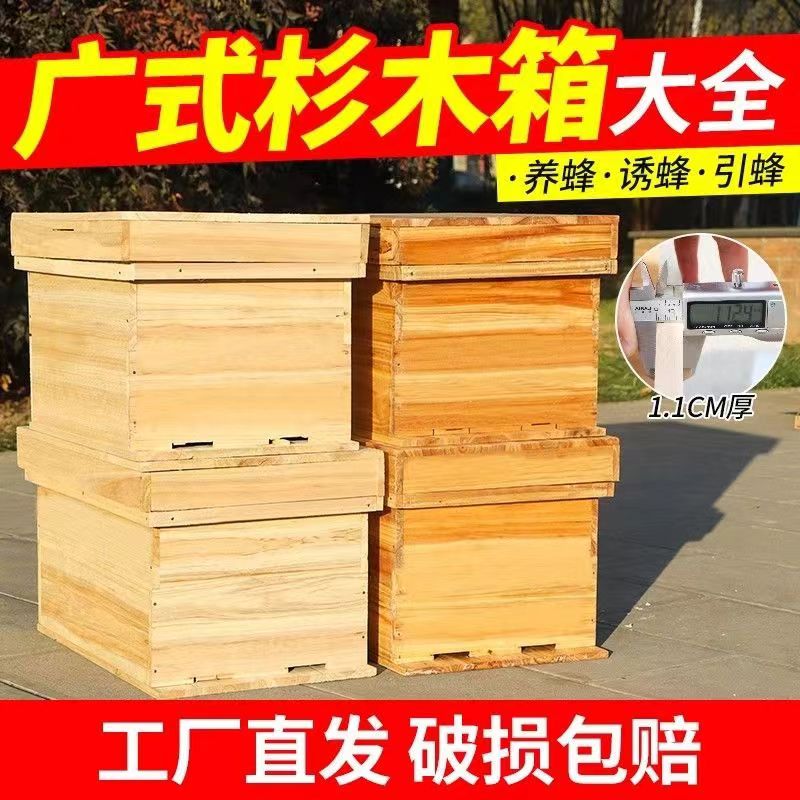 广式沉盖蜂箱1.1标准蜂箱中蜂蜂箱七框养蜂箱蜜蜂箱批发直播间
