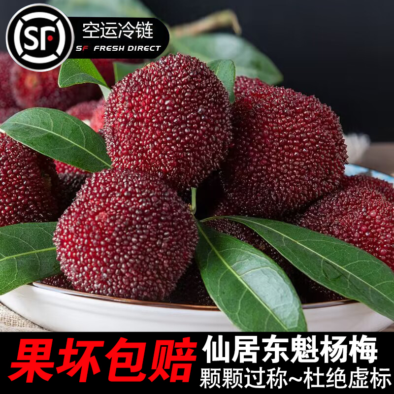 【10A果王32g-40g】仙居高山东魁杨梅现摘现发顺丰京东冷链颗粒包装