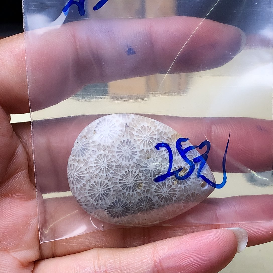 石英质玉颈饰未镶嵌