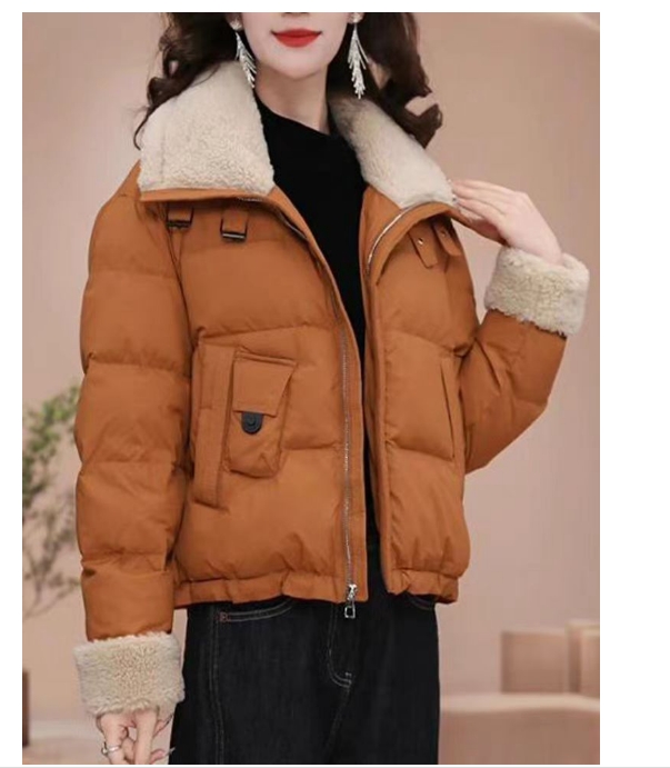 羽绒服冬季新款时尚气质显瘦减龄百搭翻领加厚保暖外套11580-空空