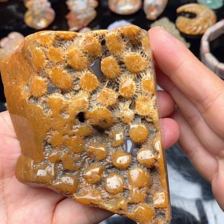 硅化珊瑚（珊瑚玉）手镯未镶嵌