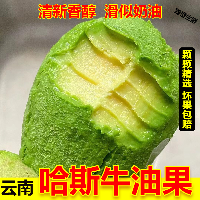 云南哈斯牛油果新鲜应季水果大果整箱包邮孕妇宝宝辅食现摘鳄梨