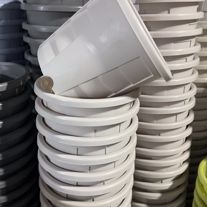 测2#口径22无托灰白6个