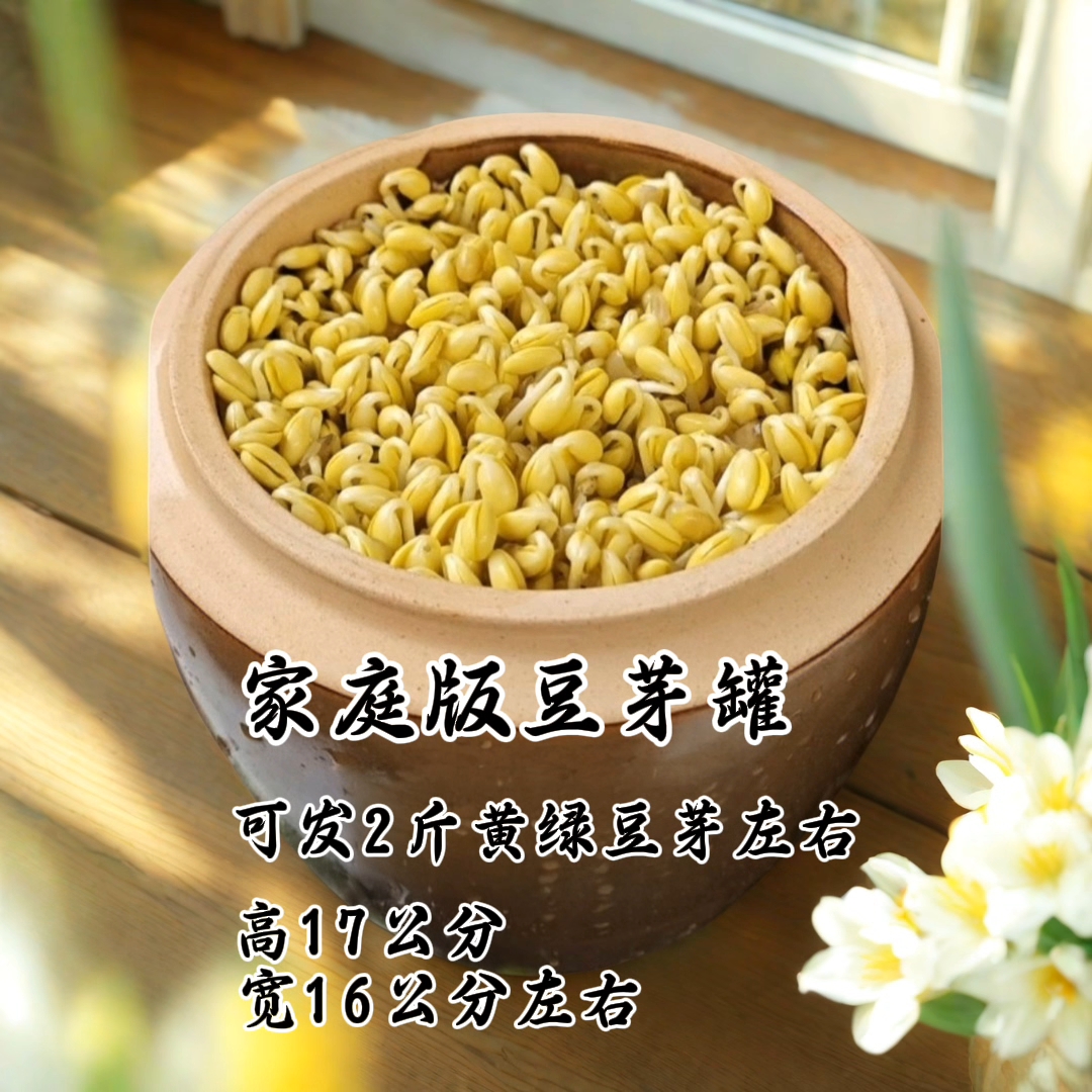 家庭版手工陶瓷豆芽罐配纱布石子豆子教程