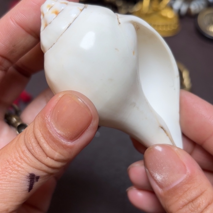 藏传喜马拉雅吊坠项链